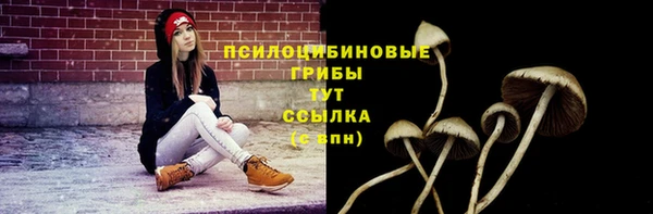 ECSTASY Абаза