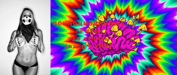 ECSTASY Абаза