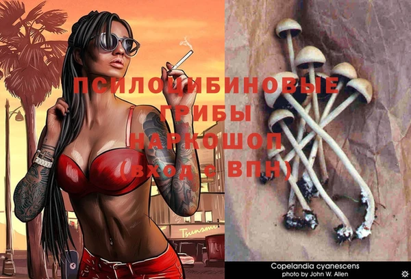 ECSTASY Абаза