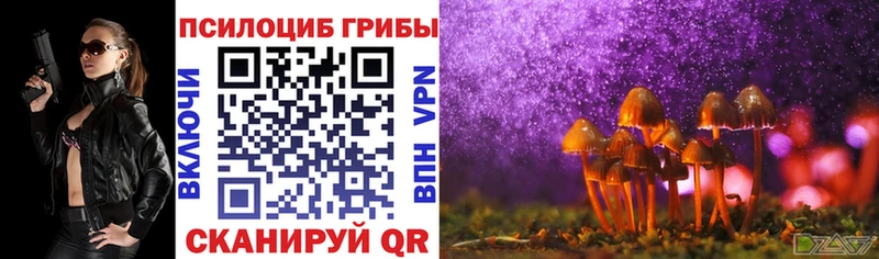hydra tor  Воронеж  Псилоцибиновые грибы мицелий 