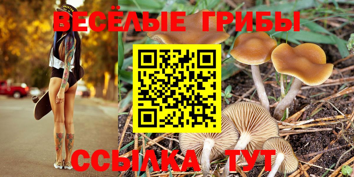 Псилоцибиновые грибы мухоморы Воронеж